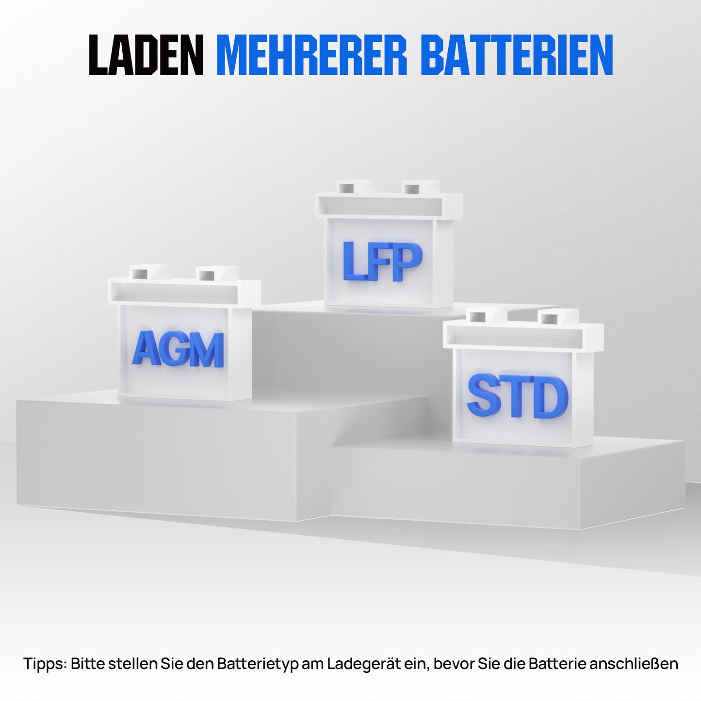 20A_12V/24V_ intelligentes_ Batterieladegerät_ mit_ LCD-Display_ für_ die_ meisten_ Batterien_ 2