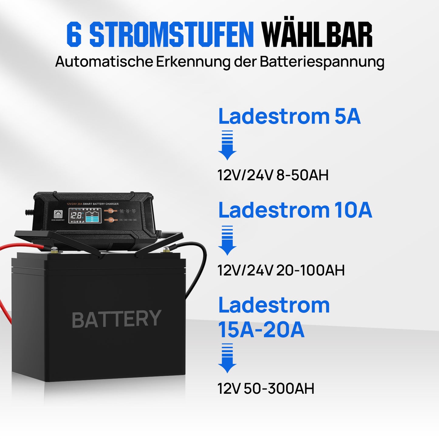 20A_12V/24V_ intelligentes_ Batterieladegerät_ mit_ LCD-Display_ für_ die_ meisten_ Batterien_ 3