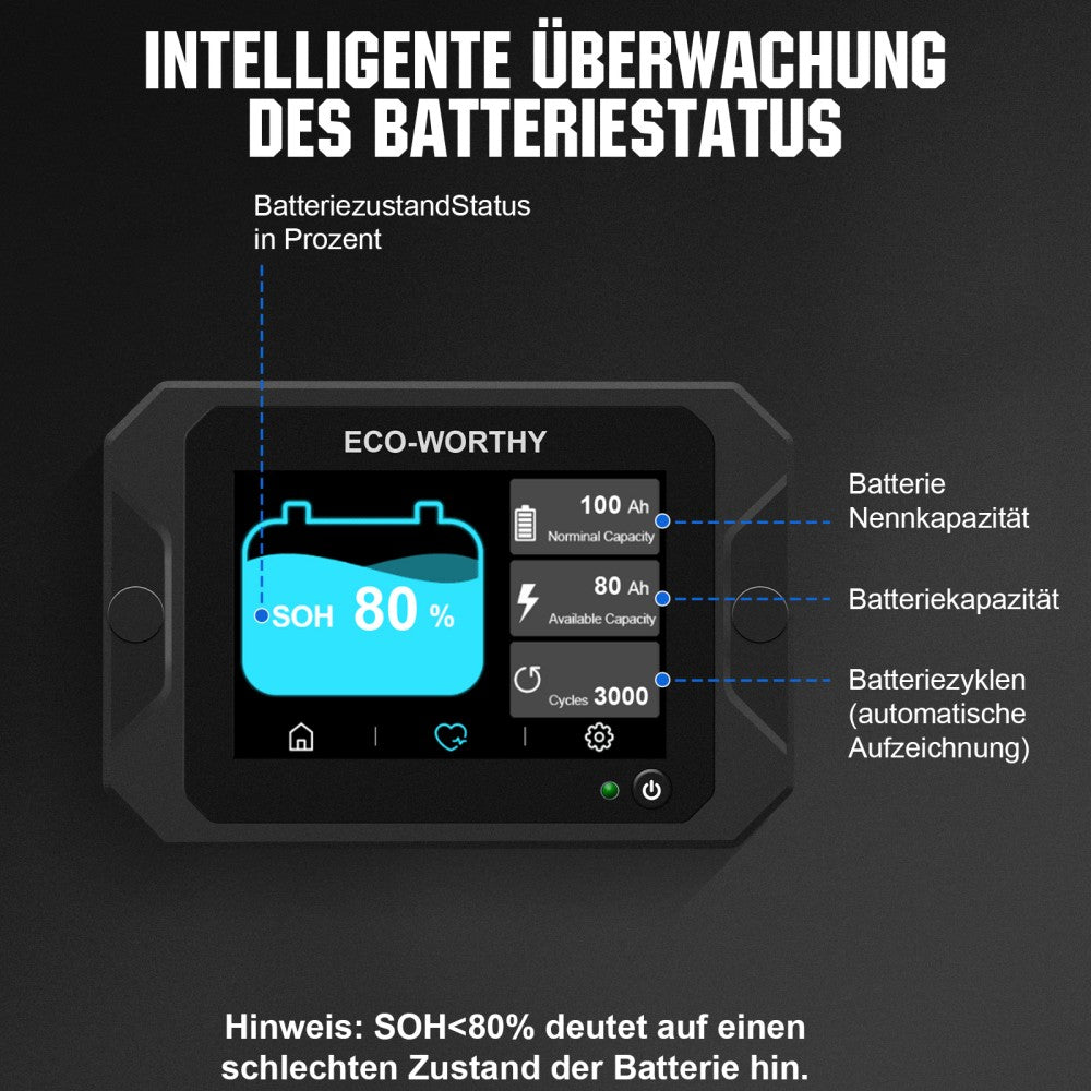ecoworthy_300A_battery_monitor_3.0_02