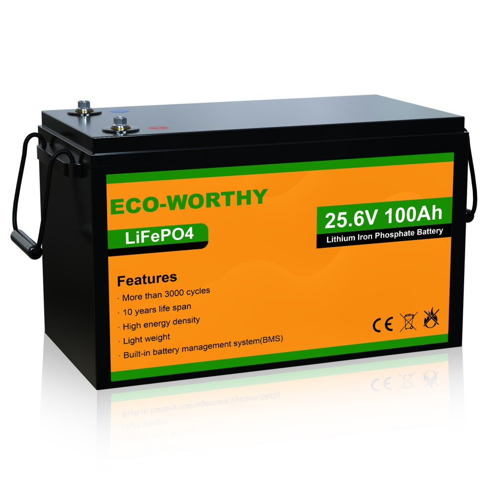 24V 100Ah LiFePO4 Lithium Batterie