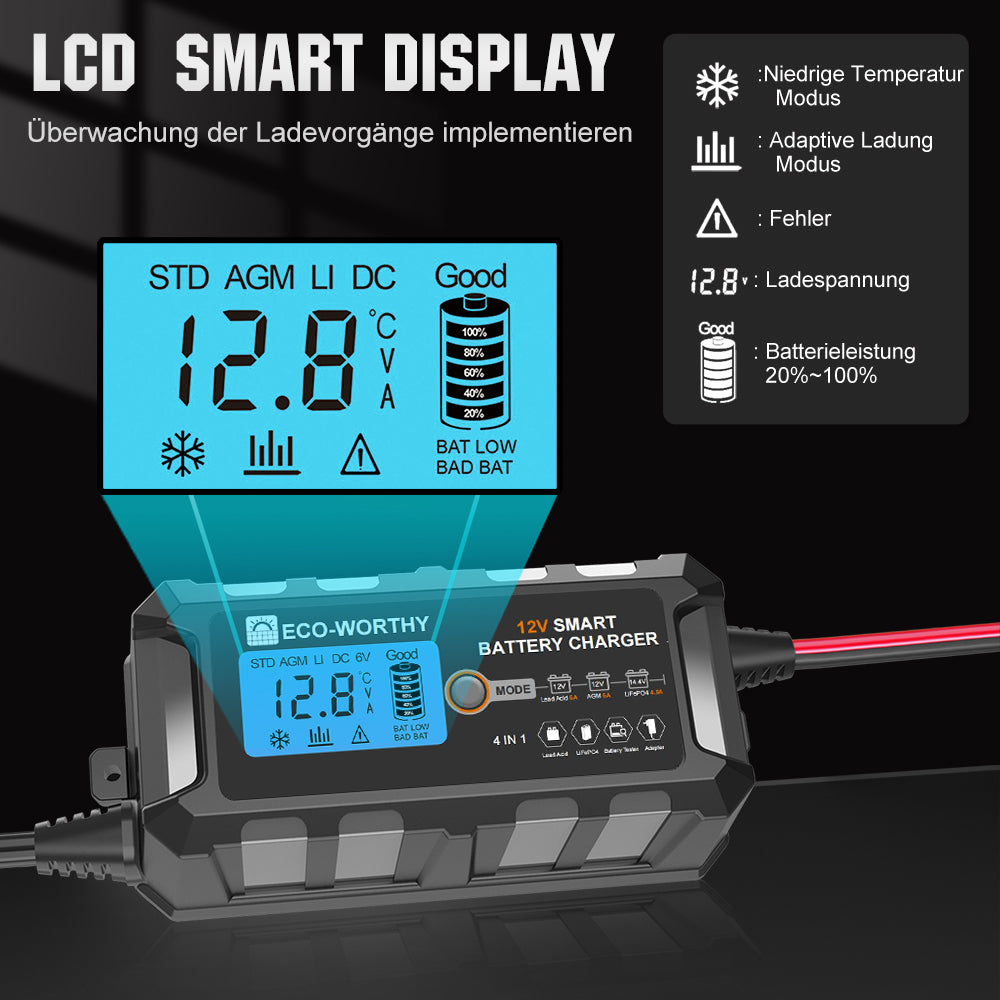 ecoworthy_lithium_battery_charger_12V_5A_04