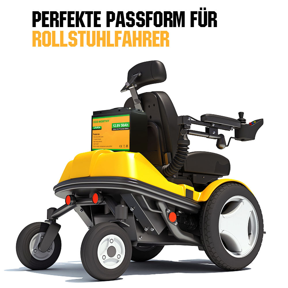 ecoworthy_12v_50ah_lithiumbatterie