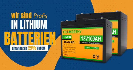 Die Vor- und Nachteile verschiedener Batterietypen