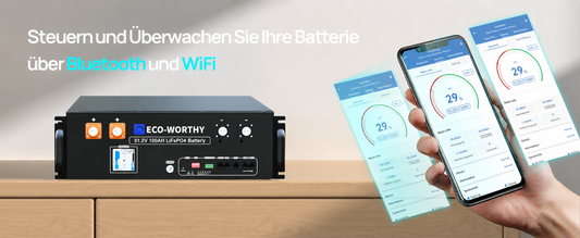 Die Kommunikationsfähigkeiten der ECO-WORTHY 48V100Ah Server-Rack-Batterie