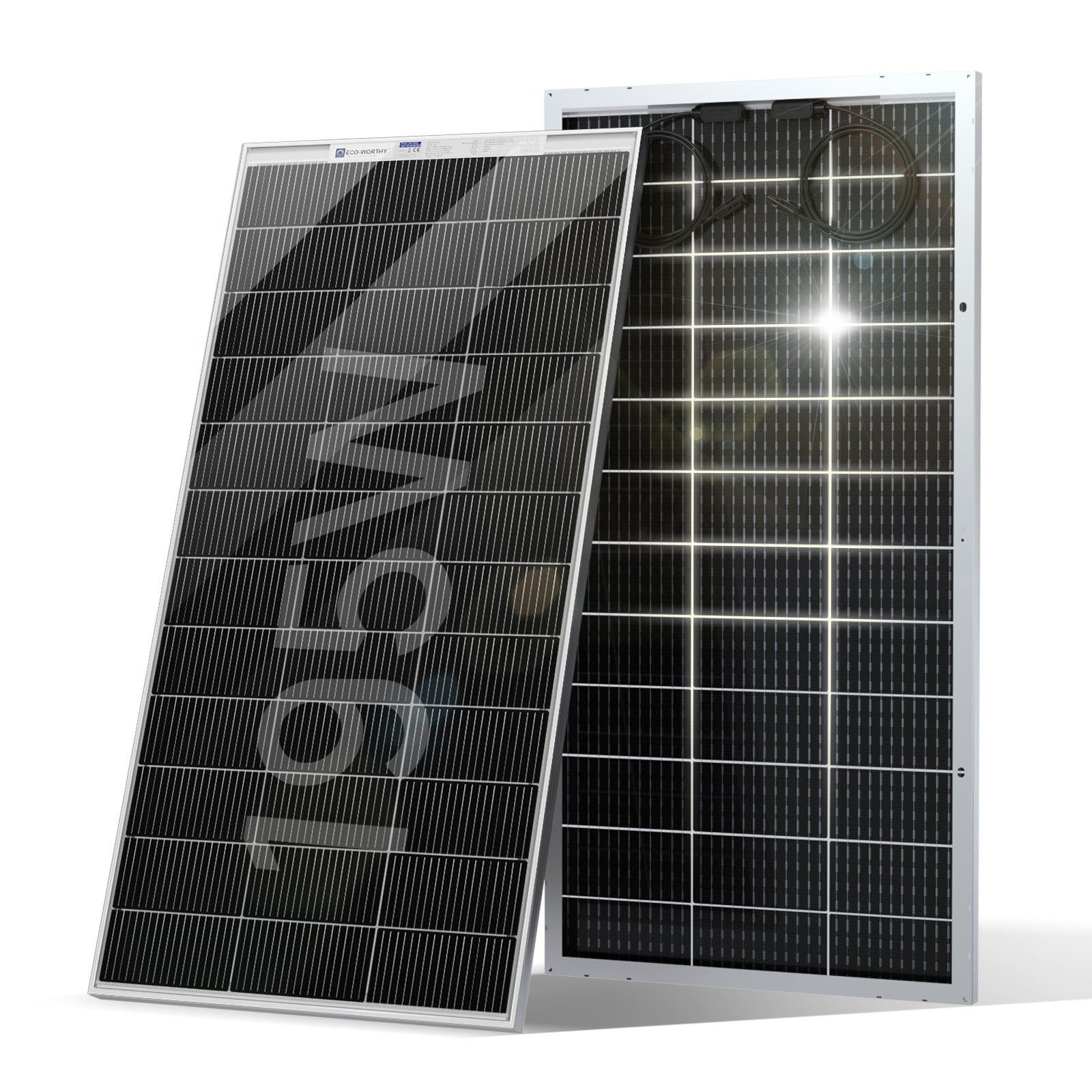 ECO-WORTHY 195Wp 12V Bifaziale Solarmodul Monokristallin