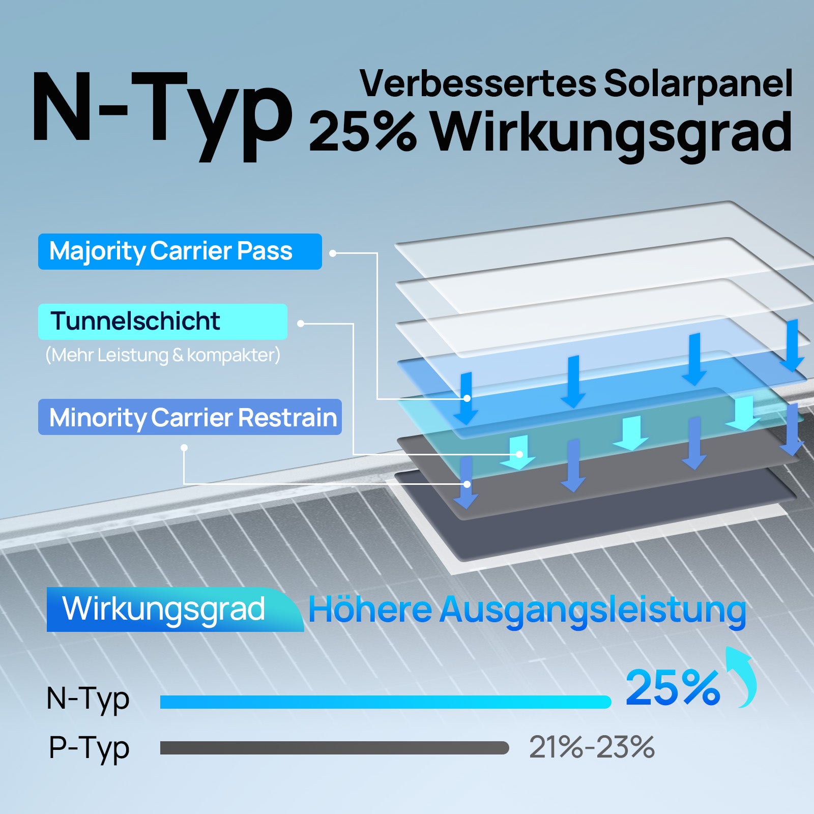 ECO-WORTHY 195Wp 12V Bifaziale Solarmodul Monokristallin