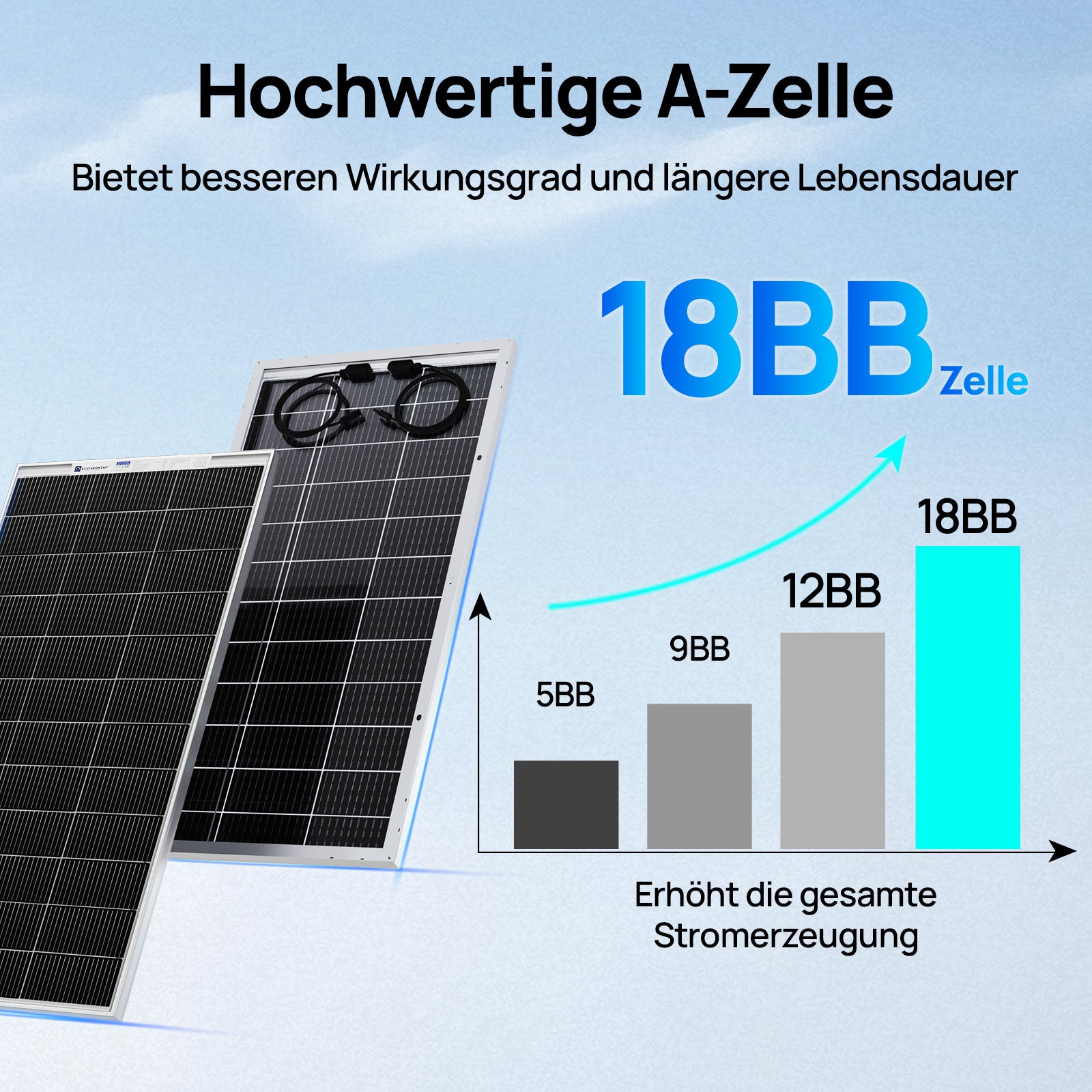 ECO-WORTHY 195Wp 12V Bifaziale Solarmodul Monokristallin