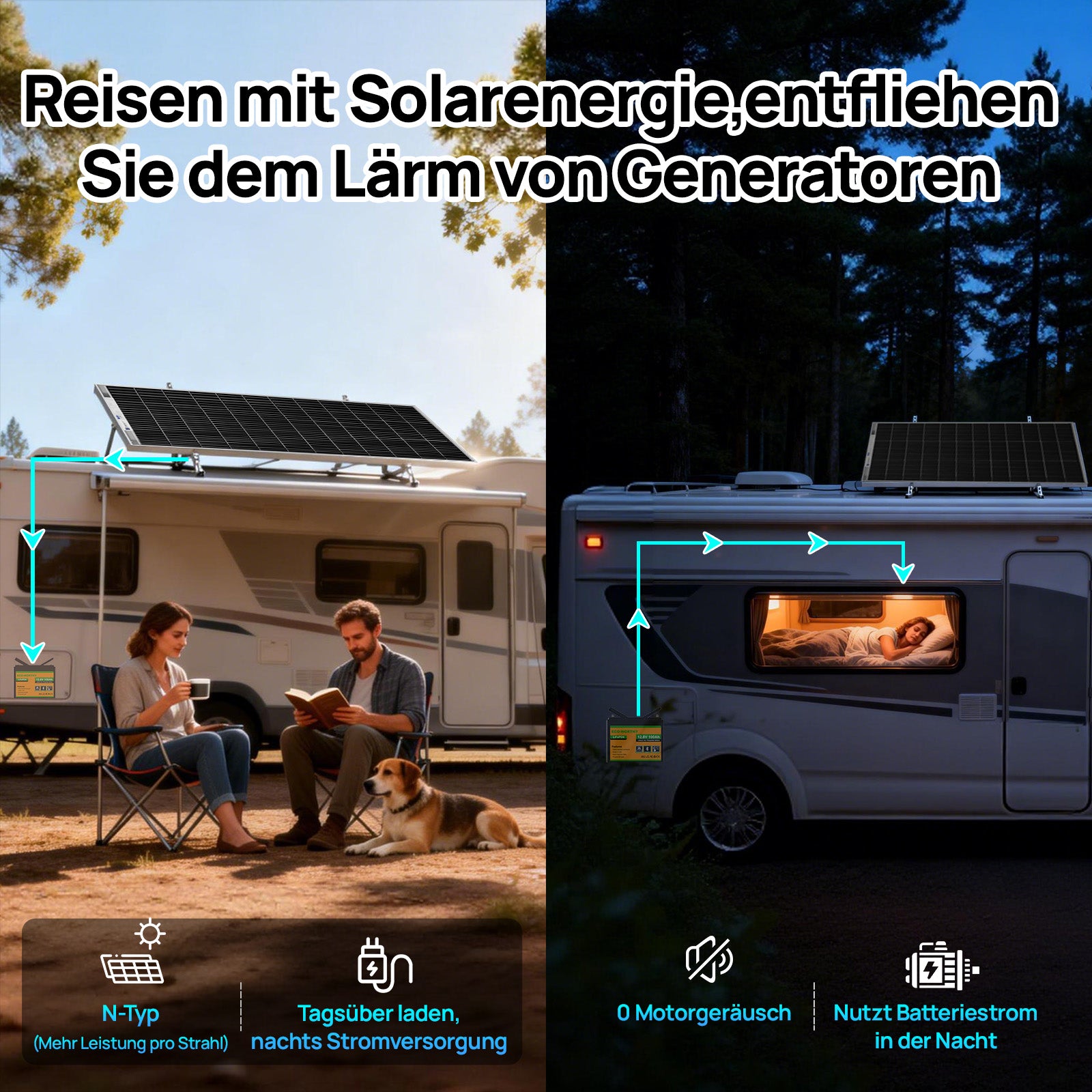 ECO-WORTHY 195Wp 12V Bifaziale Solarmodul Monokristallin