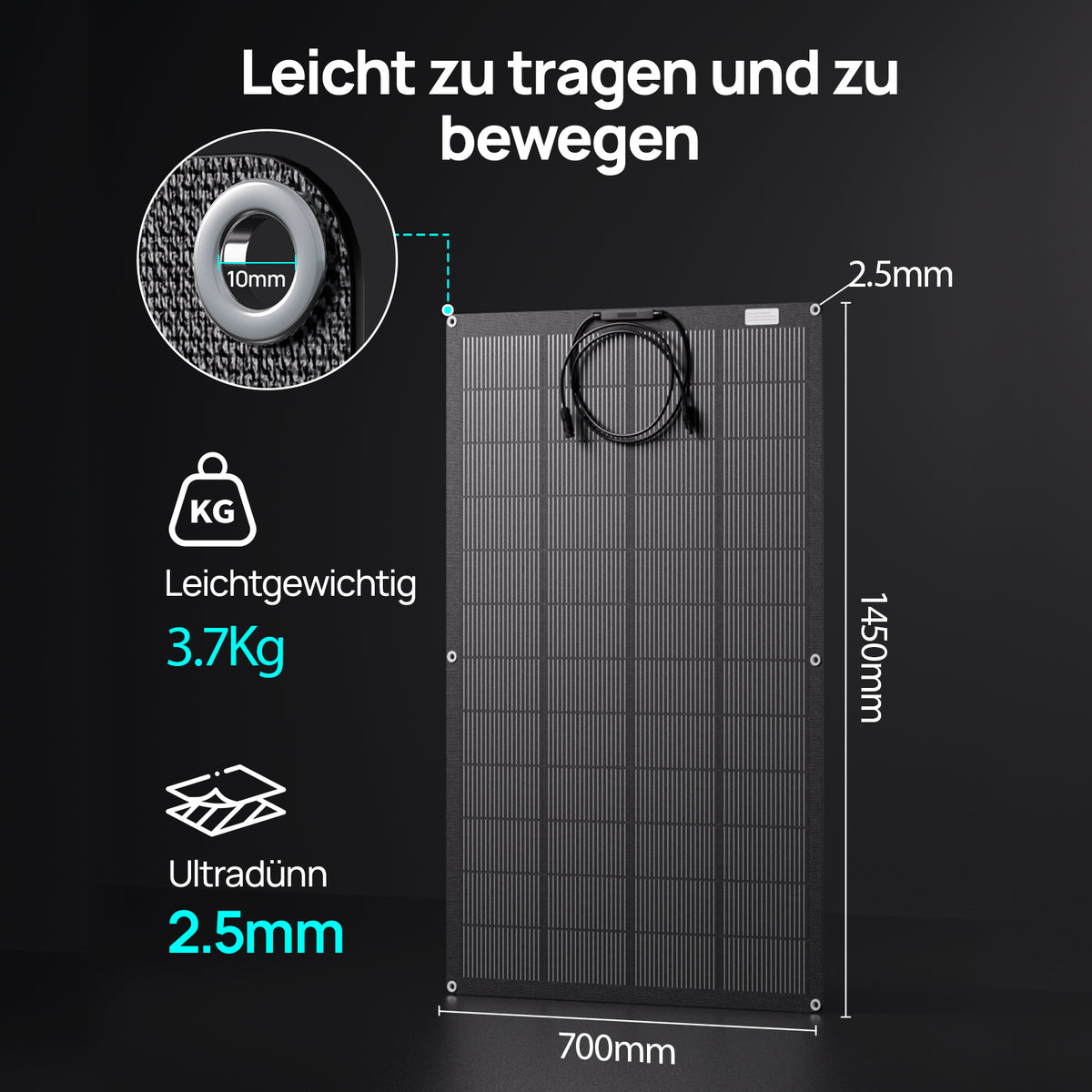 ECO-WORTHY 200Wp Flexibles Solarmodul Monokristallin