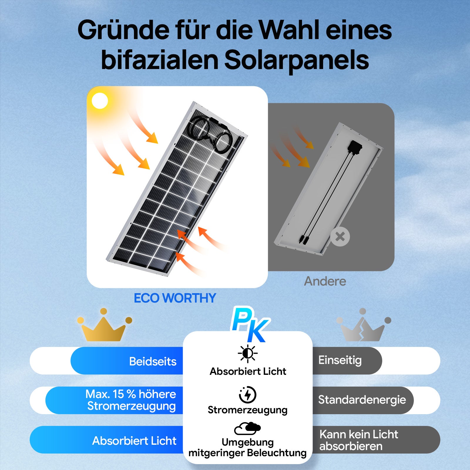 ECO-WORTHY 195Wp 12V Bifaziale Solarmodul Monokristallin