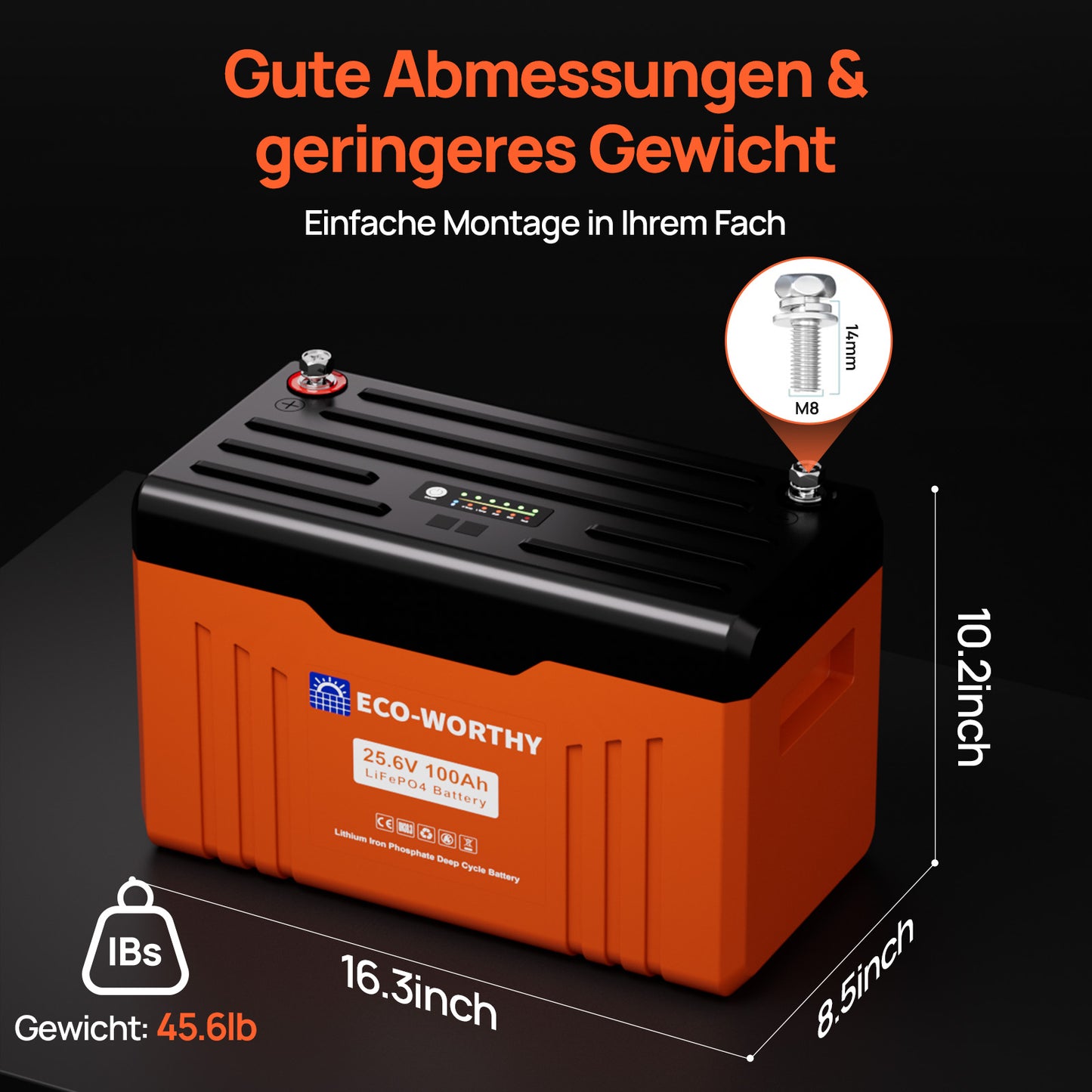 Eco-Worthy Schutz-Serie 24V 100Ah LiFePO4 Lithium Batterie—Bluetooth und Untertemperaturschutz—LED-Statusleuchte