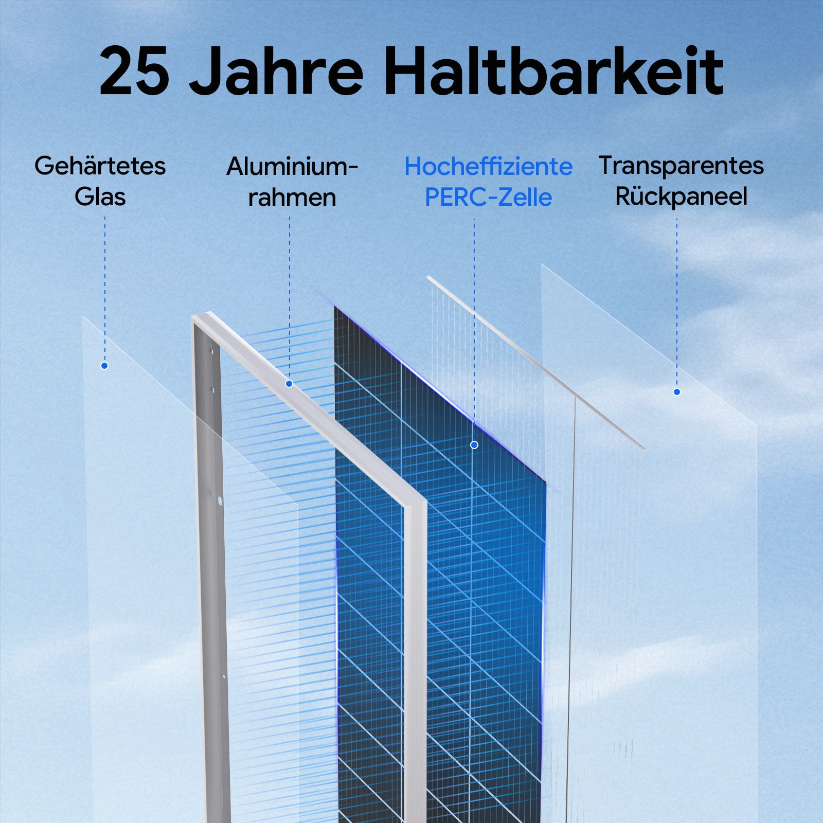 ECO-WORTHY 195Wp 12V Bifaziale Solarmodul Monokristallin