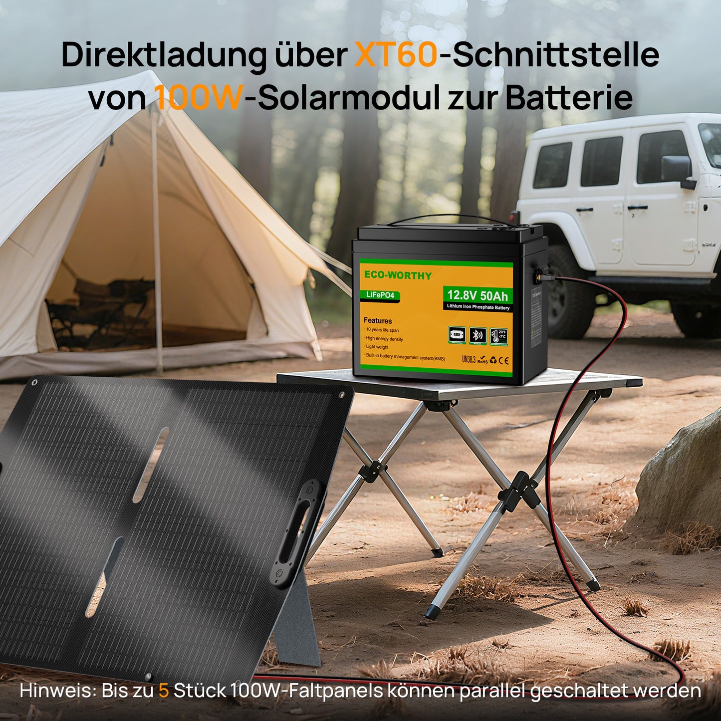 Eco-Worthy  12V 50Ah LiFePO4 XT60 Lithium Batterie mit Bluetooth und Untertemperaturschutz