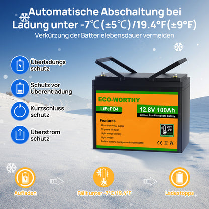 ECO-WORTHY 12V 100Ah LiFePO4 Lithium Batterie mit Untertemperaturschutz—Generalüberholt – Originalverpackung