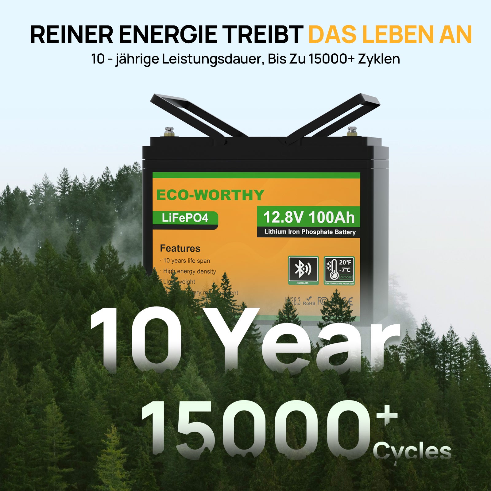 12V_100Ah_LiFePO4_Lithium_batterie_mit_Bluetooth-06