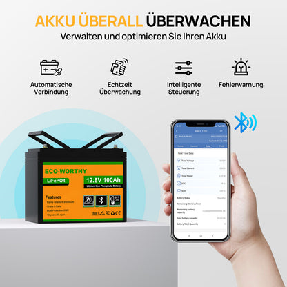 Eco-Worthy 12V 100Ah LiFePO4 Lithium batterie mit Bluetooth und Untertemperaturschutz