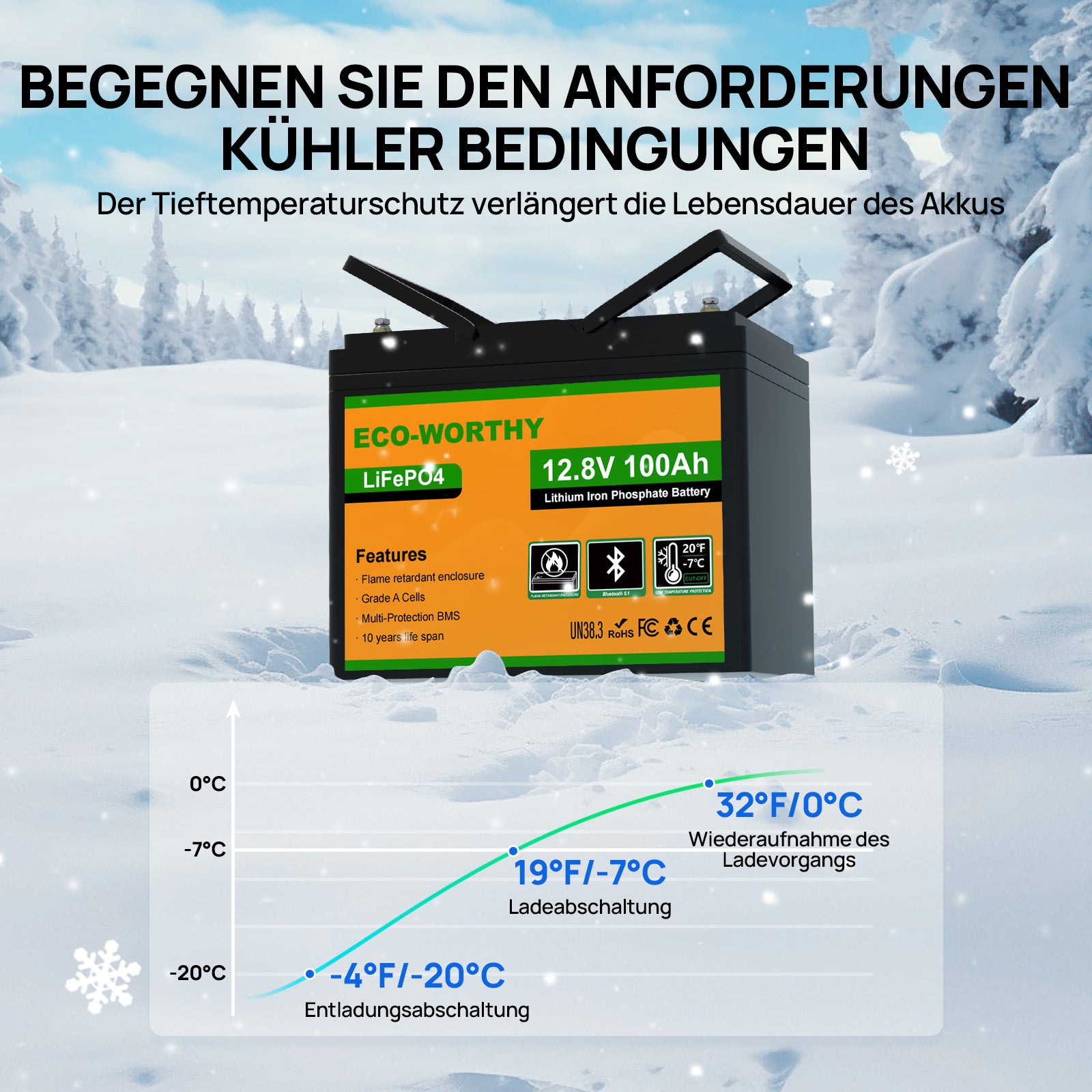Eco-Worthy 12V 100Ah LiFePO4 Lithium batterie mit Bluetooth und Untertemperaturschutz