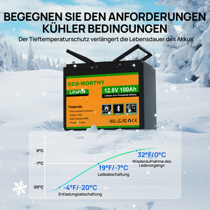 Eco-Worthy 12V 100Ah LiFePO4 Lithium batterie mit Bluetooth und Untertemperaturschutz