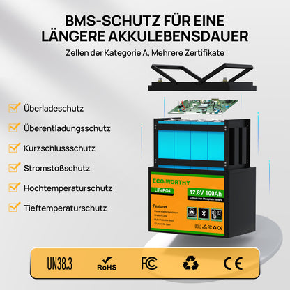 Eco-Worthy 12V 100Ah LiFePO4 Lithium batterie mit Bluetooth und Untertemperaturschutz