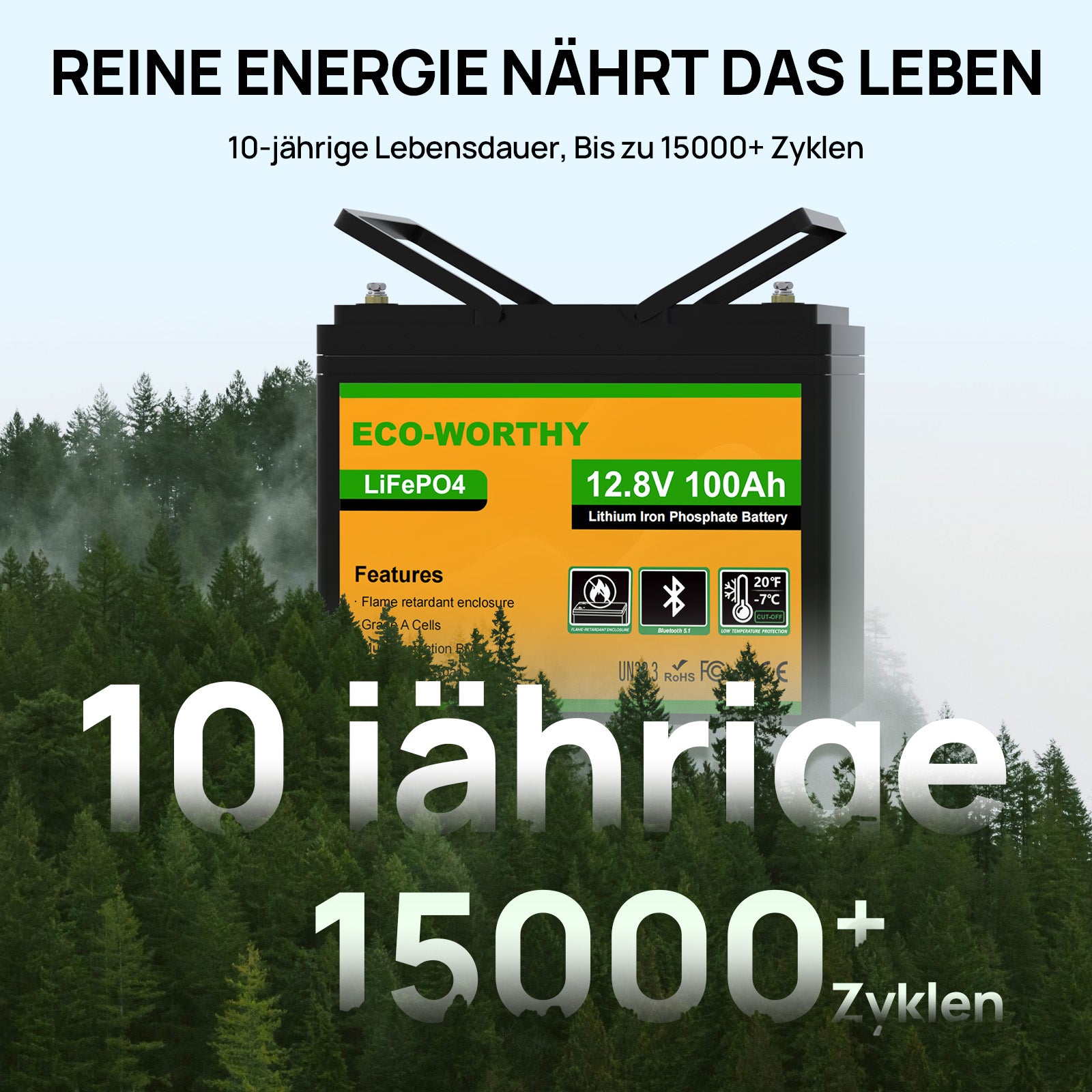 Eco-Worthy 12V 100Ah LiFePO4 Lithium batterie mit Bluetooth und Untertemperaturschutz