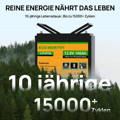 Eco-Worthy 12V 100Ah LiFePO4 Lithium batterie mit Bluetooth und Untertemperaturschutz