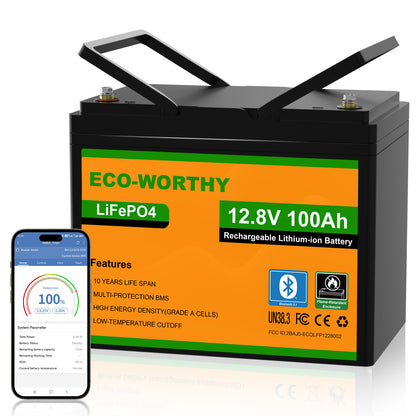 ECO-WORTHY 12V 100Ah LiFePO4 Lithium batterie mit Bluetooth und Untertemperaturschutz