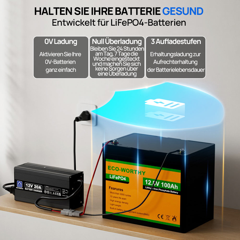 20A_12V_Smart_Batterie-Ladegerat_fur_Lithium_LiFePO4_Batterien-2