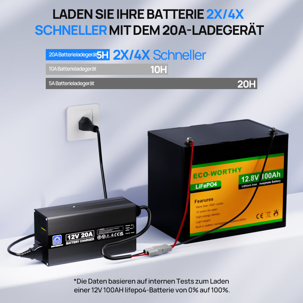 20A_12V_Smart_Batterie-Ladegerat_fur_Lithium_LiFePO4_Batterien-4