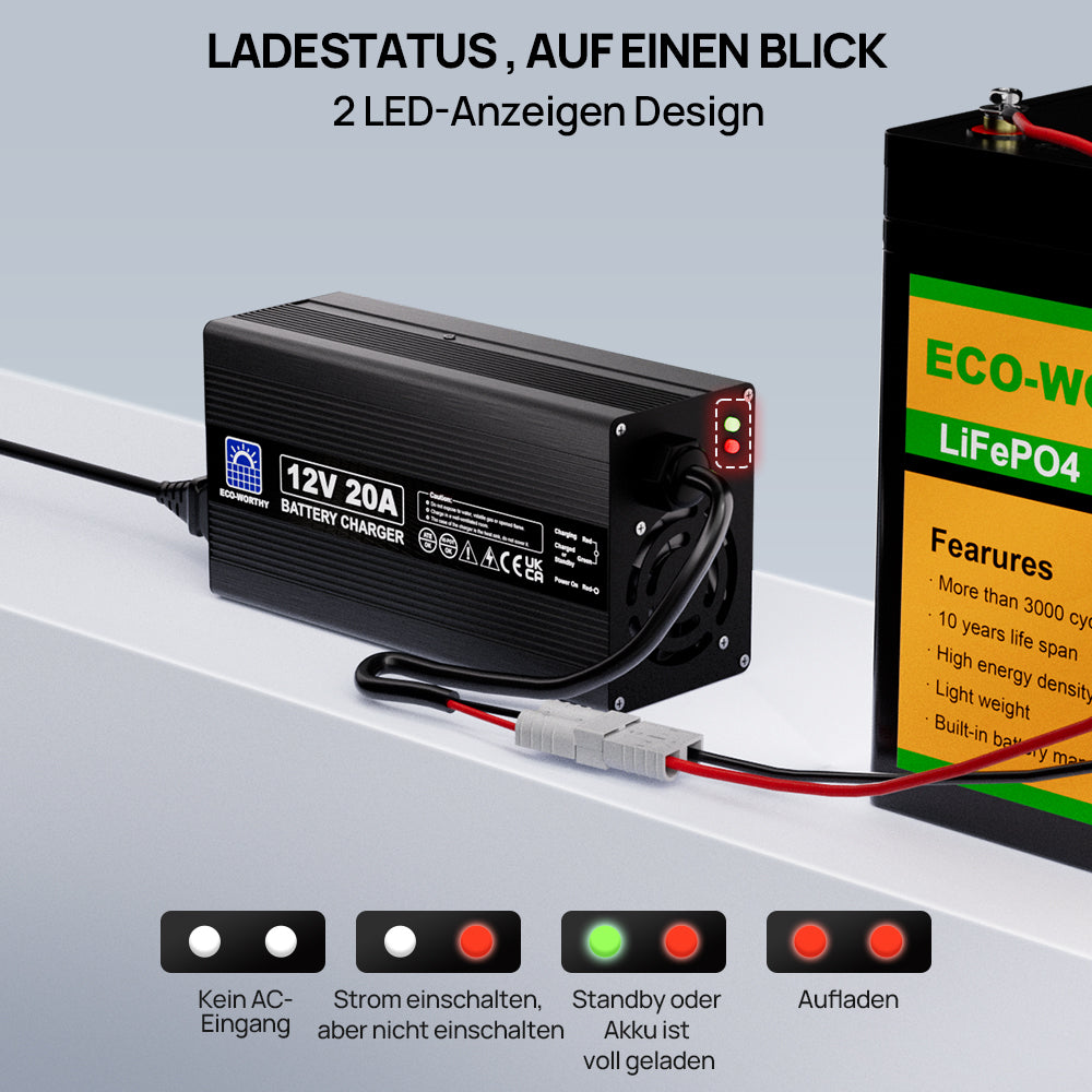 20A_12V_Smart_Batterie-Ladegerat_fur_Lithium_LiFePO4_Batterien-6