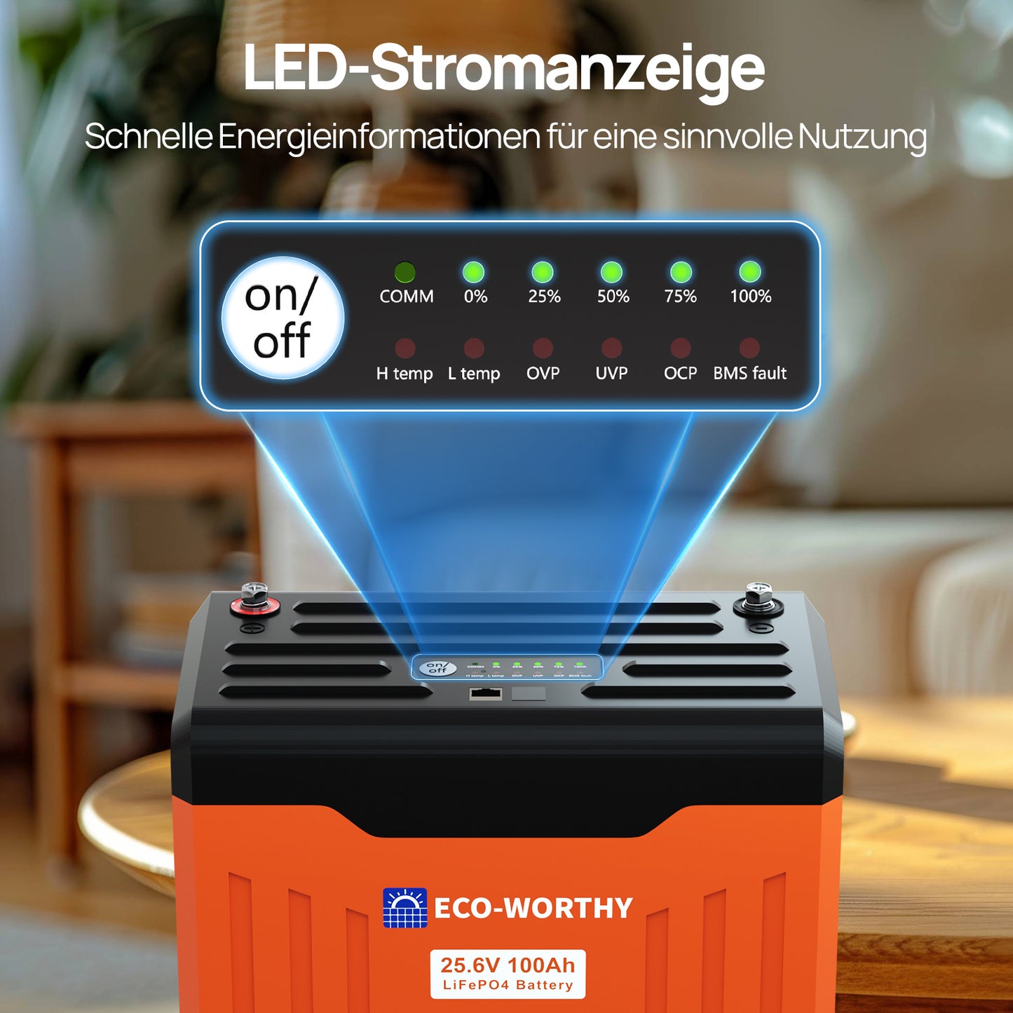 24V 100Ah LiFePO4 Lithium Batterie mit Bluetooth und WiFi,Untertemperaturschutz