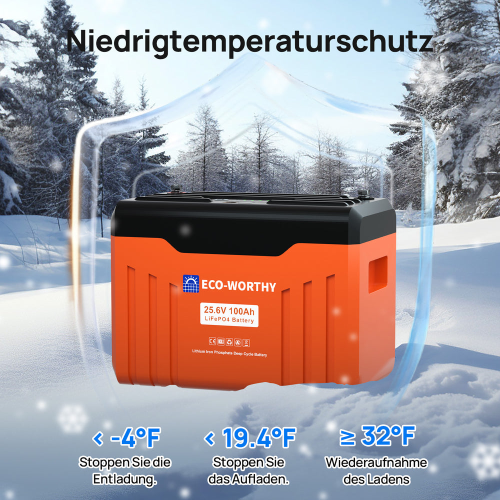 Niedertemperaturschutzfunktion.
