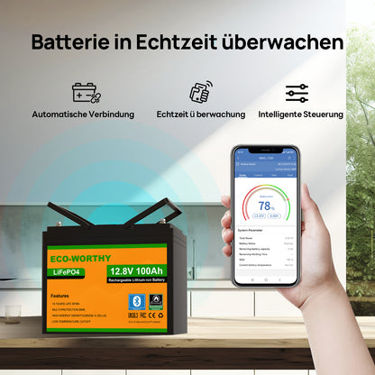 ECO-WORTHY 12V 100Ah LiFePO4 Lithium batterie mit Bluetooth und Untertemperaturschutz