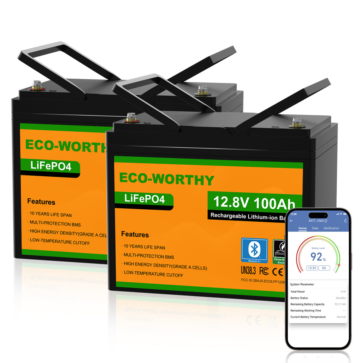 ECO-WORTHY 12V 100Ah LiFePO4 Lithium batterie mit Bluetooth und Untertemperaturschutz