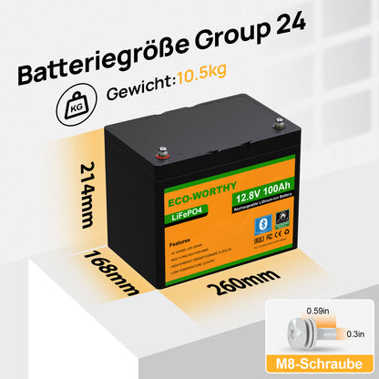 ECO-WORTHY 12V 100Ah LiFePO4 Lithium batterie mit Bluetooth und Untertemperaturschutz