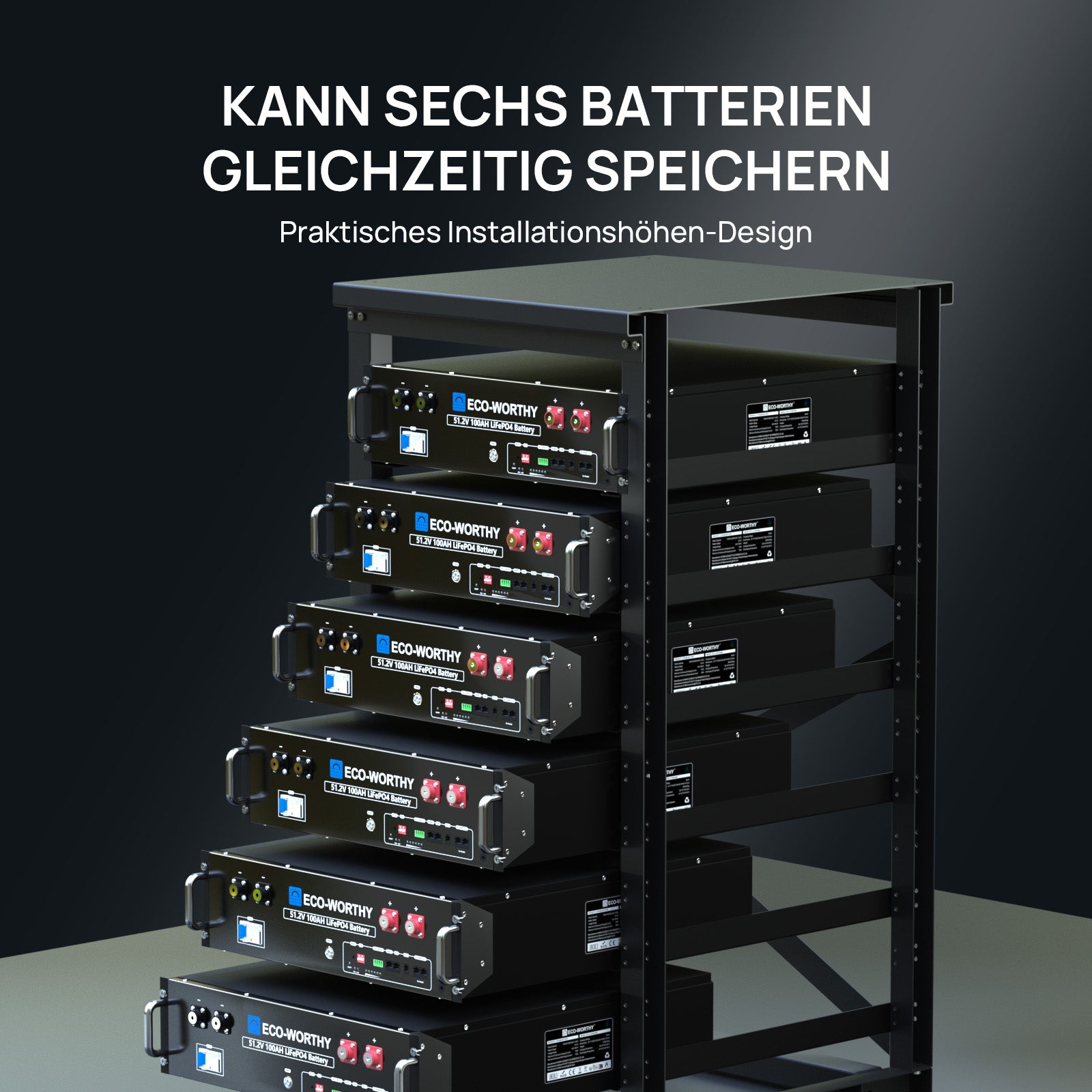 ECO-WORTHY 6-lagiges 19-Zoll-Server-Farm-Rack-7