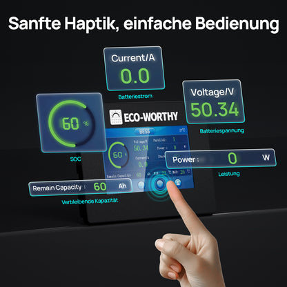 ECO-WORTHY ESM100 Batteriemonitor für die Cubix-100 und Wandmontage-Batterien