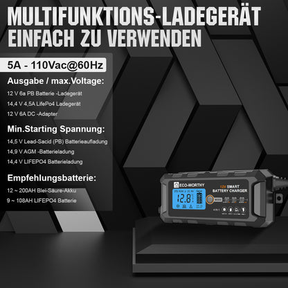 ecoworthy_lithium_battery_charger_12V_5A_02