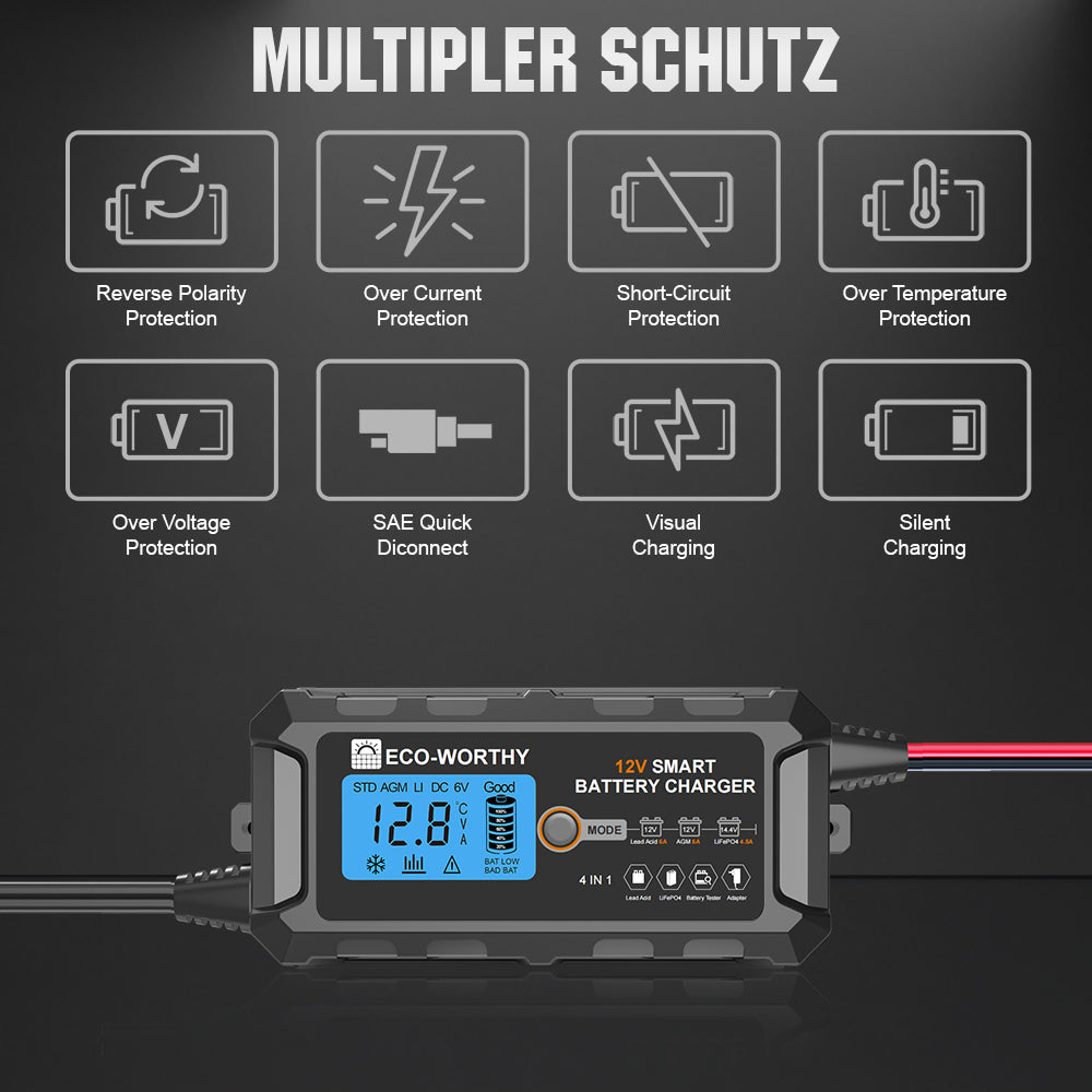 ecoworthy_lithium_battery_charger_12V_5A_03