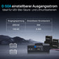 Eco-Worthy 48V 50A intelligentes Batterieladegerät—geeignet für Generatorladung—einstellbarer Strom 0-50A@230VAC