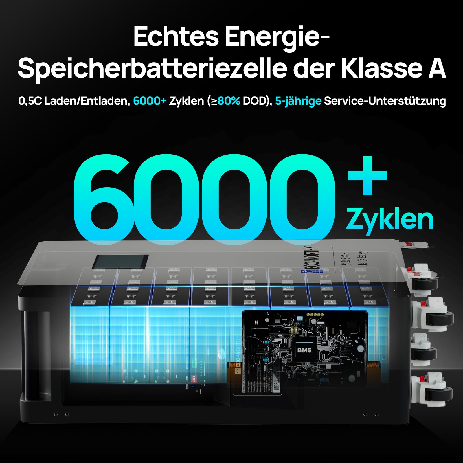 Eco-Worthy 48V 314Ah Lithium LiFePO4 Batterie—16kWh—Notstromversorgung für Zuhause