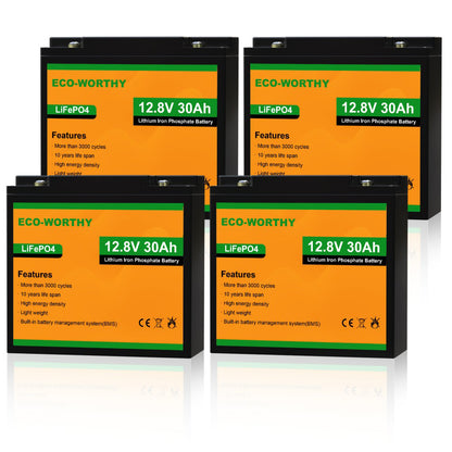 Eco-Worthy 12V 30Ah LiFePO4 Lithium Batterie