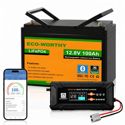 ECO-WORTHY 12V 100Ah LiFePO4 Lithium batterie mit Bluetooth und Untertemperaturschutz