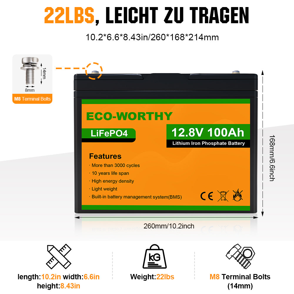 ECO-WORTHY Lithium batterie 12V 100Ah LiFePO4 Akku mit über 3000+