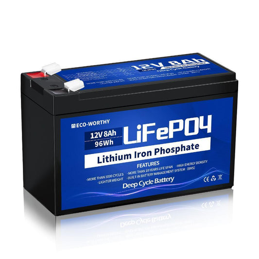 LiFePO4 12V 8Ah 10Ah 20Ah Lithium-Eisen-Phosphat-Batterie | ECO-WORTHY