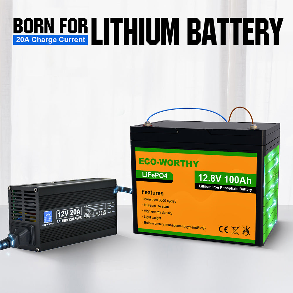 12V 5A 10A 20A Batterie Ladegerät für LiFePO4 Lithium Batterie Auto  Motorrad
