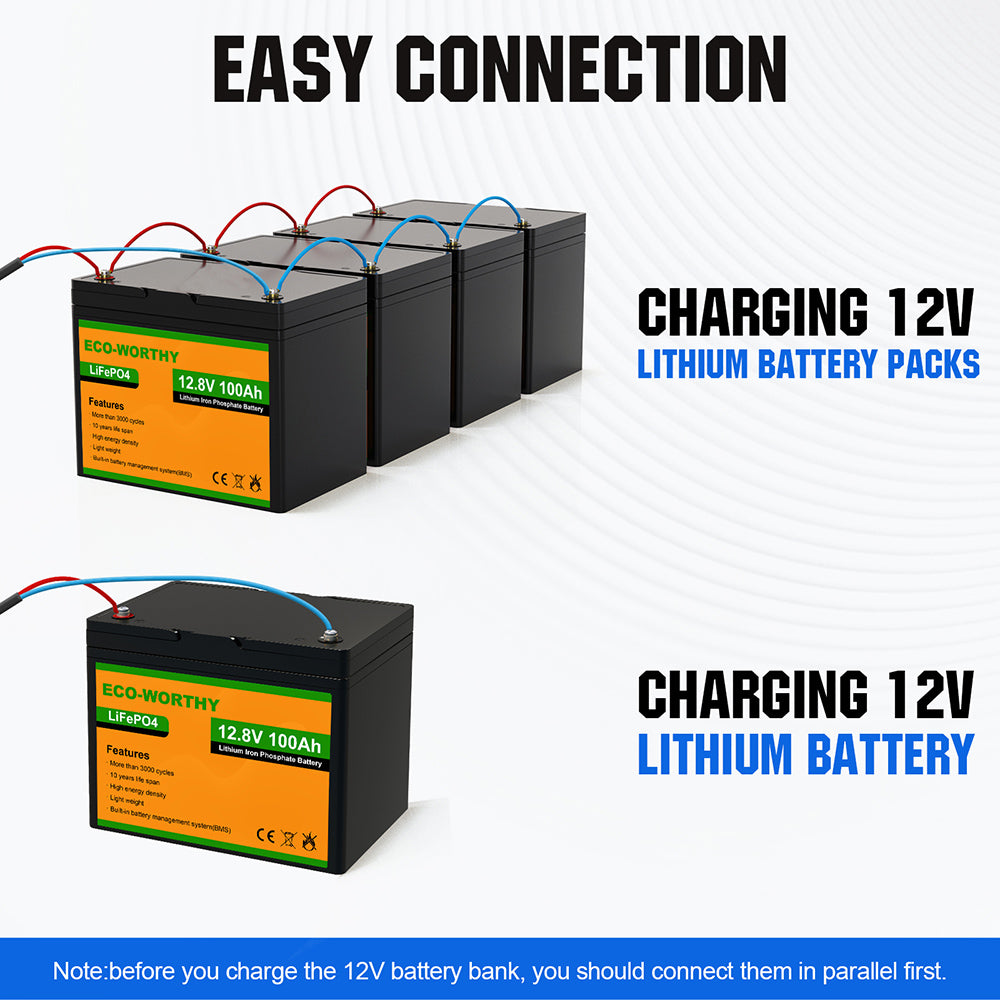 ECO-WORTHY 10A 12V Batterie Ladegerät Halter für Bleisäure LiFePO4
